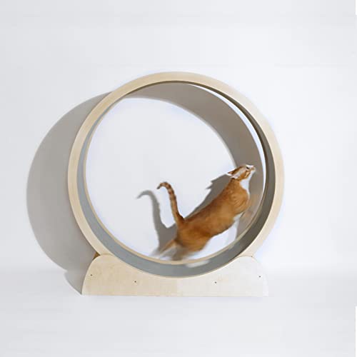 cat wheel Cinta de Correr Anti-pellizco para Gatos Con Diseño de Espacios Diminutos, Cojinete de Carga Estupendo de La Rueda Del Ejercicio Del Gato, Accesorios para Gatos para Gatos ( Size : Size S )