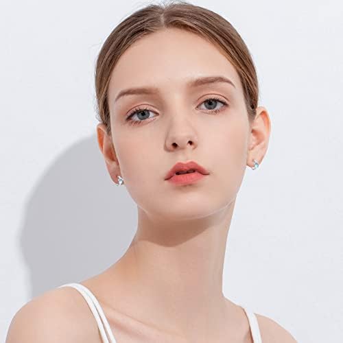 Moonstone Stud Earrings 925 Sterling Silver Dog Paw Earrings Hoop Dog Earrings Hypoallergenic Earring Paw Earrings Jewellery Gifts for Children Women