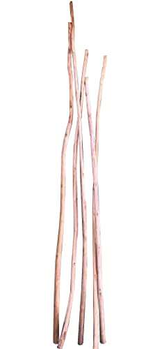 Lightly Curved Teak Wood Pole, 60'-70' L