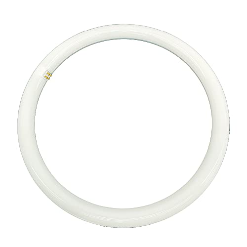 Shop SoftAir® Circolina Led Consumo 29W Corrispondenza 175W diametro 40cm 3050LM Lumen Luce Bianco Naturale 4000k Calda 3000k Fredda 6500k Attacco G10Q T9 (Luce Fredda 6500k)