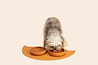Should We Go? Dog Water Bowl - The Perfect Dish No-Spill, Less Mess Non-Tippable Water & Food Bowl, Pure Silicone with Suction Cup, Fits 2 Cups 6” Across x 1.25” Tall, Ideal for All Pets, Small-Ocean
