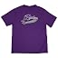 University of Mount Union/P/Primary Logo/Yt