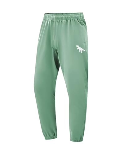 BINPAW 3 Pack Toddler Boys Active Pants Pull On Sweatpants Dinosaur Graphic Print Jogger Pants, Black/Green/Gray, 9-10Y = Tag 1404