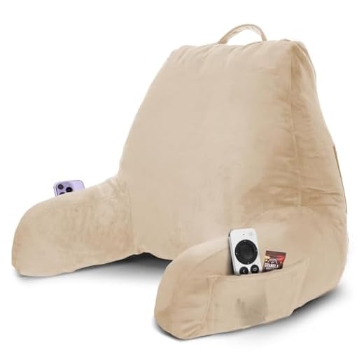 31BWe6scA1L._SS520_ Best backrest pillow