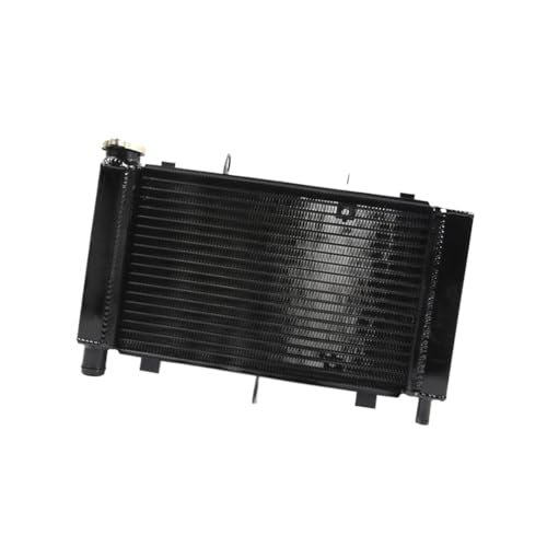Radiateur FZ600 refroidisseur d'eau moto de 2006 à 2010