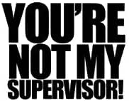 Amazon.com: Archer You're not My Supervisor JDM Black Decal Vinyl ...
