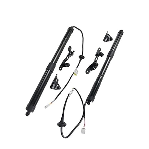 Vérin hydraulique de coffre résistant pour réparer le hayon de votre RAV4