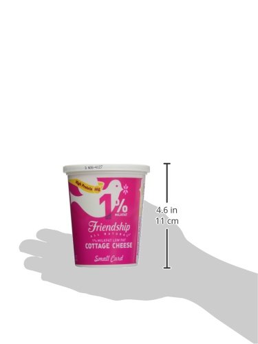 Friendship Dairy Cottage Cheese, 16 oz