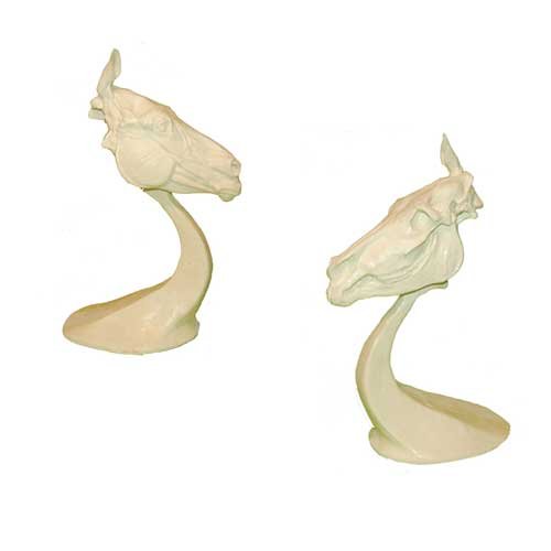 Horse Head Anatomy Study - Resin - 11