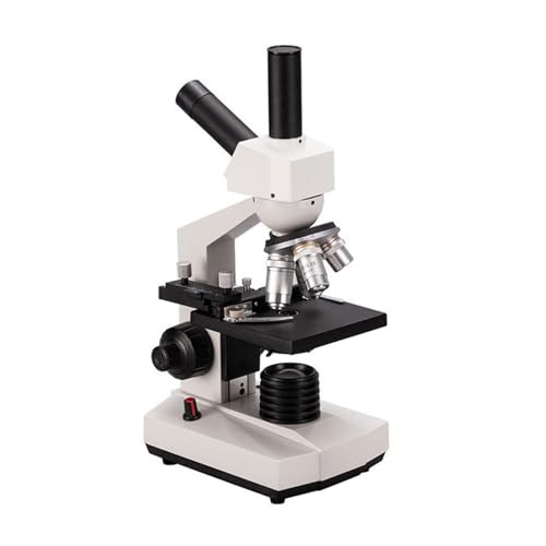 Microscope électronique 40X-2000X précis grâce à sa platine mécanique