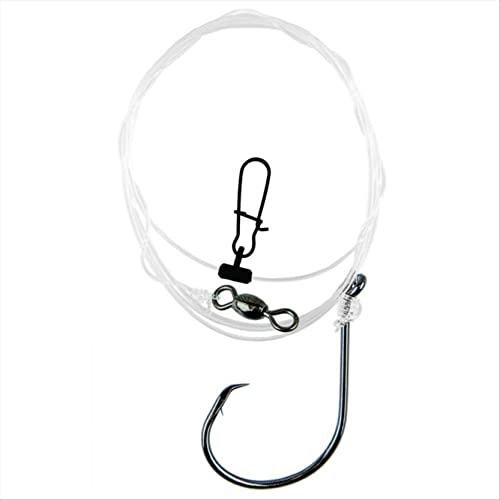 Bas de ligne Crochet Cercle Eagle Claw montage prêt à pêcher le bar