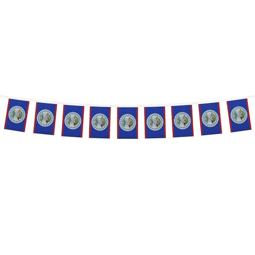 Image of AZ FLAG Belize 6 meters BUNTING Flag 20 flags 9'' x 6'' - Belizean STRING flags 15 x 21 cm