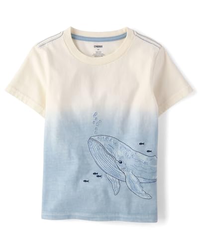 Image of Gymboree Boys and Toddler Embroidered Graphic T-Shirt