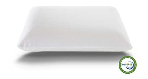 Live and Sleep Resort Classic Queen Memory Foam Mattress - 12-Inch - Cool Bed in a Box - Medium Plush Firmness, Advanced Support, Bonus Luxury Form Pillow - Low VOC CertiPUR Certified - Queen Size