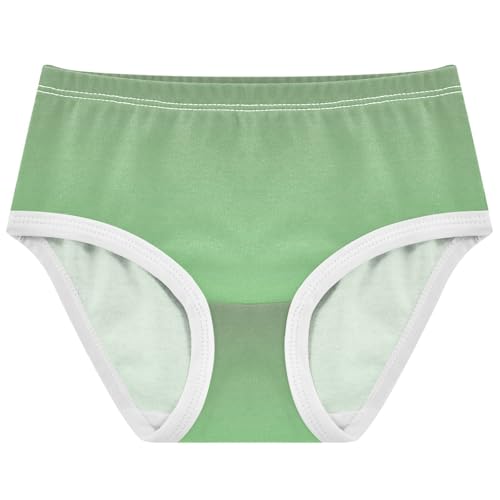 Joisal Camouflage Green Light Gradient Toddler Girls Underwear 2t Cotton Little Girl Panties Stylish Undies Kids Briefs