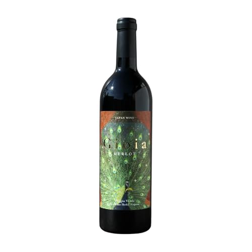 赤 ワイン ジョイア メルロー 750ml [Poggio Verde(ポッジョ ヴェルデ) 長野県 池田町 48110670] 赤ワイン わいん 国産ぶどう使用 ふるさと納税