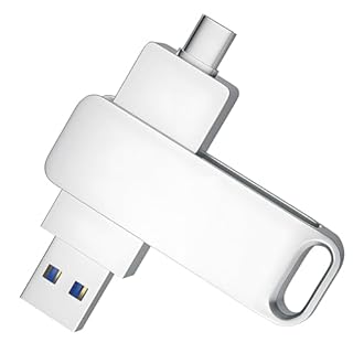 Fpreeza Chiavetta USB 3.1 da 256 GB con porta di tipo C e tipo A, per archiviazione e backup per smartphone OTG