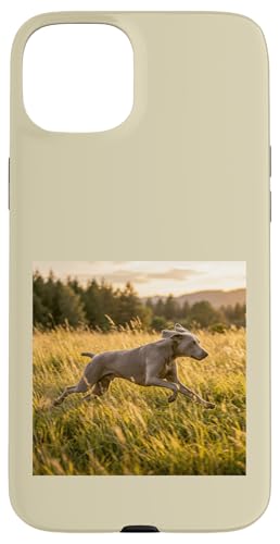 Weimaraner �����j���O���h�E �T���Z�b�g �t�B�[���h �V�[�� �X�}�z�P�[�X iPhone 15 Plus �p