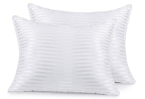 Acanva Bed Pillows For Sleeping 2 Pack,Premium Fluffy And Soft Down-Like Polyester Fiber Filled, Perfect For Back, Stomach & Side Sleepers, Queen (Pack Of 2), White 2 Count #TOP25