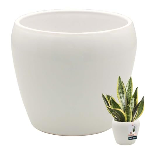 KOTARBAU® Blumentopf Weiß innen rund ⌀ 13,5 cm H: 14 cm glasierte Keramik Blumentöpfe innen Blumenübertopf Pflanzentopf innen Orchideenübertöpfe Blumentopf groß Flower Pot