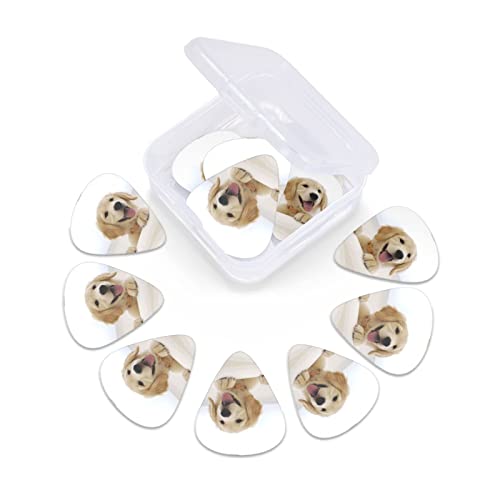 Pack de 12 médiators Golden Retriever Puppies médiators pour guitare électrique guitare acoustique guitares diverses - Les Beatles, Paul McCartney, John Lennon, RIngo Starr, George Harrison Pack de 12 médiators Golden Retriever Puppies médiators pour guitare électrique guitare acoustique guitares diverses – Image 6