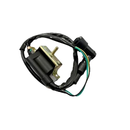 Bobina de encendido para ATV de 110cc, 125cc, 90cc, 70cc y 50cc de repuesto 2