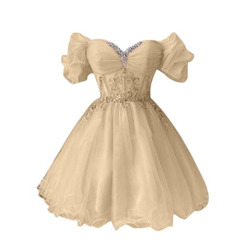 Off-Shoulder Short Homecoming Dresses 2025 Princess Lace Tulle Cocktail Dress for Teen