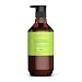 Theorie: Sage - Tea Tree & Ginger - Invigorating Shampoo - Stimulate and Renew - For All Hair Types - Protects Color and Keratin Treated Hair, 400mL