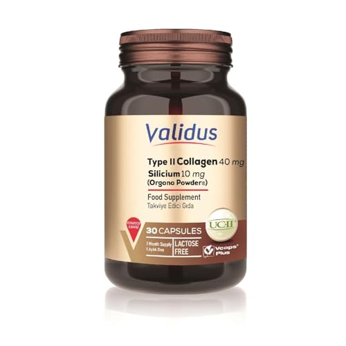 Validus Type II Collagen 40 mg + Silicium 10 mg 30 Capsules
