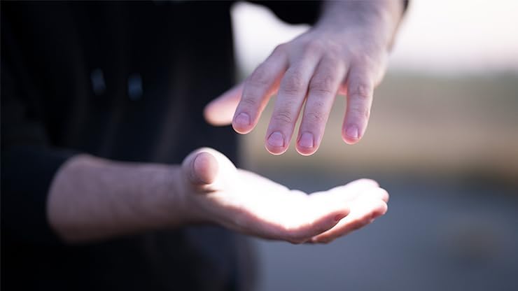 Murphy's Studio Firefly by Titanas