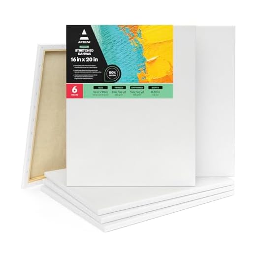 ARTEZA Lienzo para pintar cuadros | 40,64 x 50,8 cm | Pack de 6 | 100% algodón | Lienzos en blanco para óleo, acrílicos y acuarelas | Ideales para artistas profesionales, aficionados y principiantes