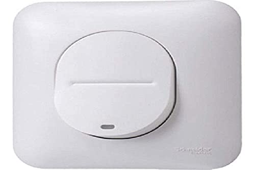 Schneider Electric - Bouton Poussoir Lumineux 10A Localisation - Blanc - Ovalis