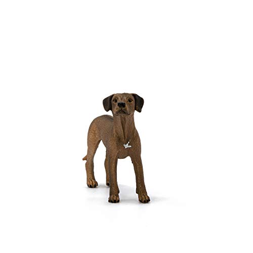 SCHLEICH 13895 Rhodesian Ridgeback, für Kinder ab 3+ Jahren, Farm World - Spielfigur