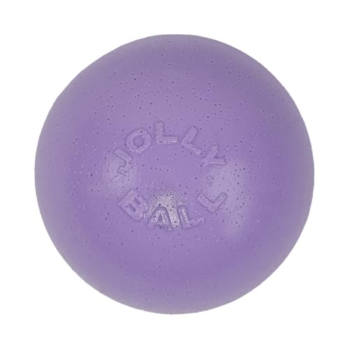Jolly Pets Bounce-N-Play Dog Toy Ball, 4.5 Inches/Small, Light Purple