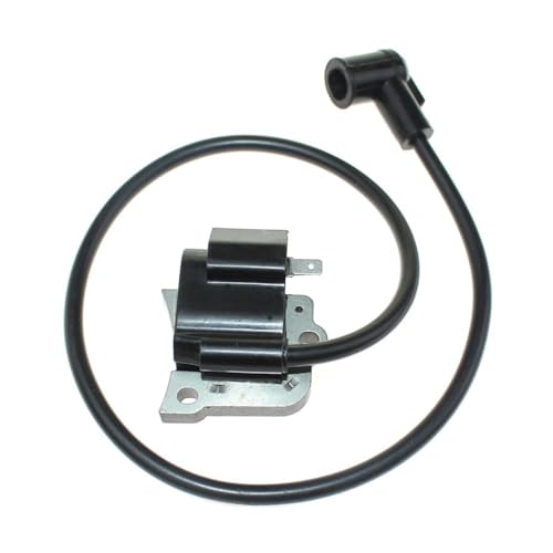 Bobine d'allumage 597-70010-10 pour réparer les pannes de moteur chaud