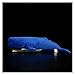 XUXFANG Jouets en Peluche 54cm Sperme de sperme Simulation de la Baleine de Baleine farcie Jouets Soft Mer Animaux Cachalot Peluche Pot Pot Baleine Grande Poupée Fin for Enfants Cadeau