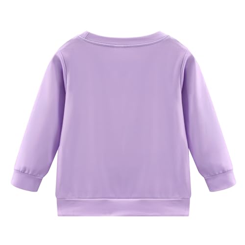 Image of Little Girls Outfits 2 Piece Toddler Long Sleeve Sweatshirt Leggings Pants Fall Winter Clothing Set 2-10 Years