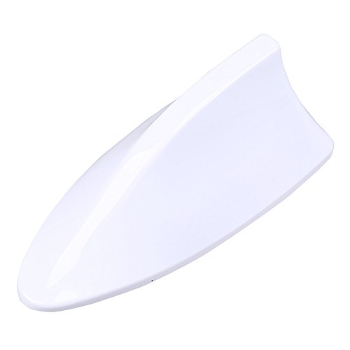 Antenne requin voiture universelle : réception AM/FM pour auto et SUV