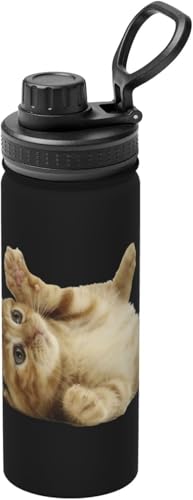 L L ˂ G gL  ^fM ۉ ۗ X|[c{g lC XeX{g X|[cΉ RȂ 530ml j̎q ̎q  l q Aj ObY LN^[