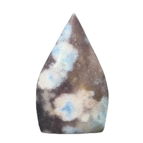 NX^Xg[ VR~lNH[ct[tH[g[`nhz[fR[V NX^Xg[z_[lbNX(182g 99mm)