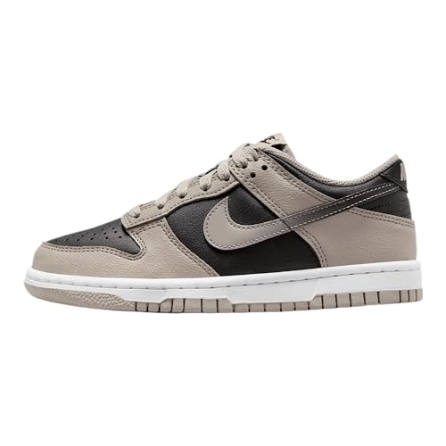 Nike Dunk Low Big Kids' Shoes (HV6363-009, College Grey/White/Black) Size 6.5