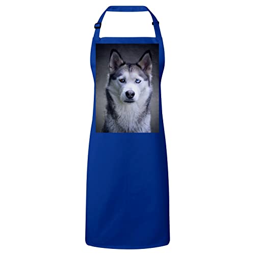 Tablier cuisine bleu avec grand husky aux yeux vairons