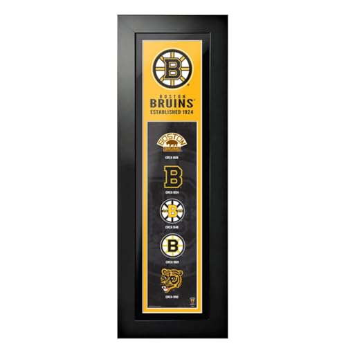 Boston Bruins 6