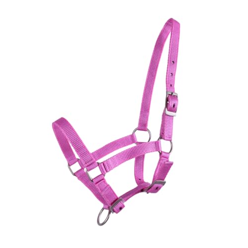 QHP Foal Halter | 3-Way Adjustable Fit for Growing Foals | Nylon Foal Halter for Weanlings Ponies & Miniature Horses | Satin-Finish Hardware