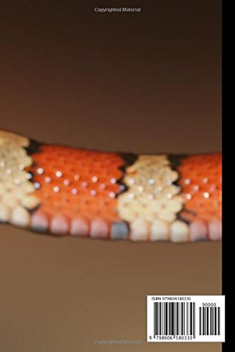 Snake notebook: Small lined Snake notebook - Travel Journal to write in - 120 pages - 6"x9" - Image 2