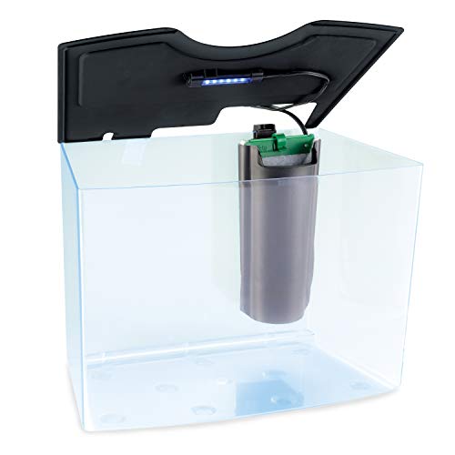 Image of GloFish Crescent aquarium Kit 3 Gallons, Includes Hidden Blue LED Light And Internal Filter