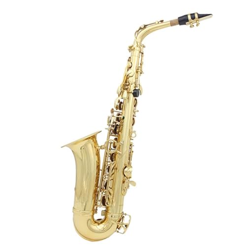 �T�b�N�X�y�� �p�t�H�[�}�[�^�C�v �A���g�T�b�N�X �v���t�F�b�V���i�� ���Ǌy�� �؊Ǌy�� �T�b�N�X �L�������O�P�[�X�t�� �A�N�Z�T���[