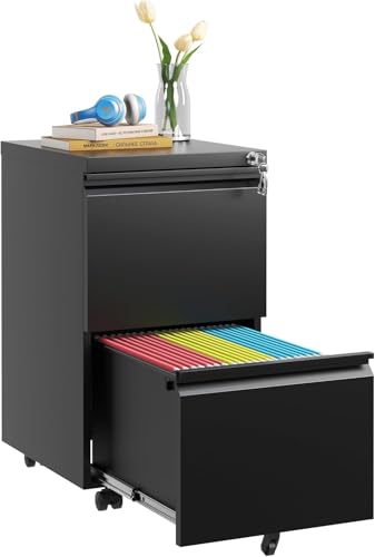 Image of Guizeeopo 2 Drawer Locking File Cabinet, Fully Assembled Heavy-Duty Metal Filing Cabinets for Home Office, Quiet Slides, Anti-Tipping Wheels, Fits A4 /Letter /Legal, Matte Black