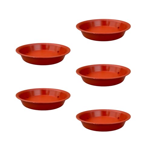 Image of Plant Saucer Base Plate for Pots | Premium Planter Tray |100% Virgin Plastic, UV Treated, Durable & Lightweight | Ideal for Indoor & Outdoor (5, 6 inch Tr)