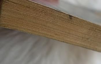 Paperback Devil in the Atlas Book